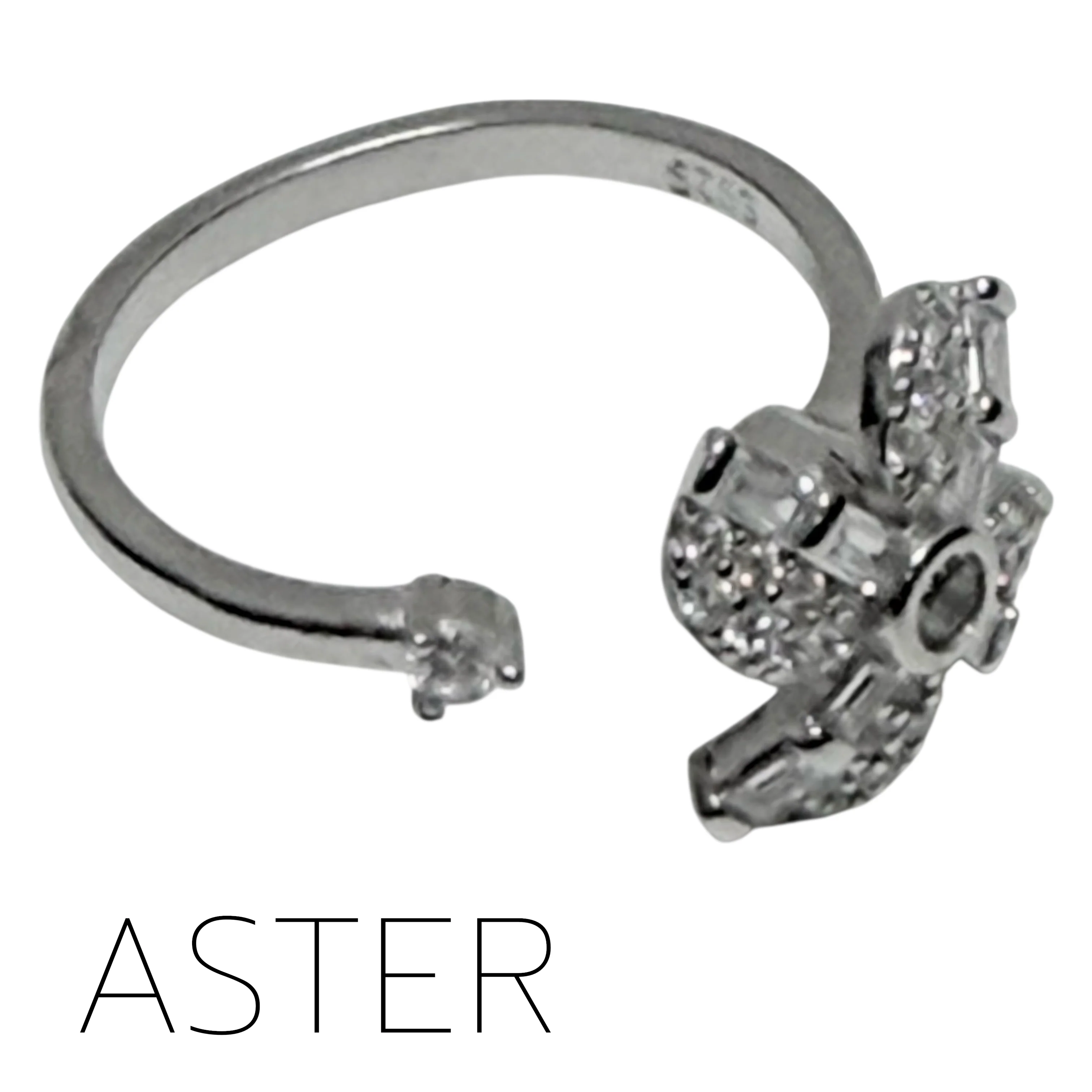 Aster Fidget Ring - Image 2