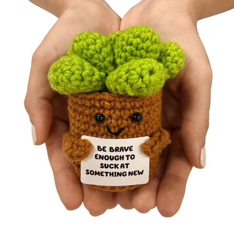 Be Brave  Succulent - Image 2