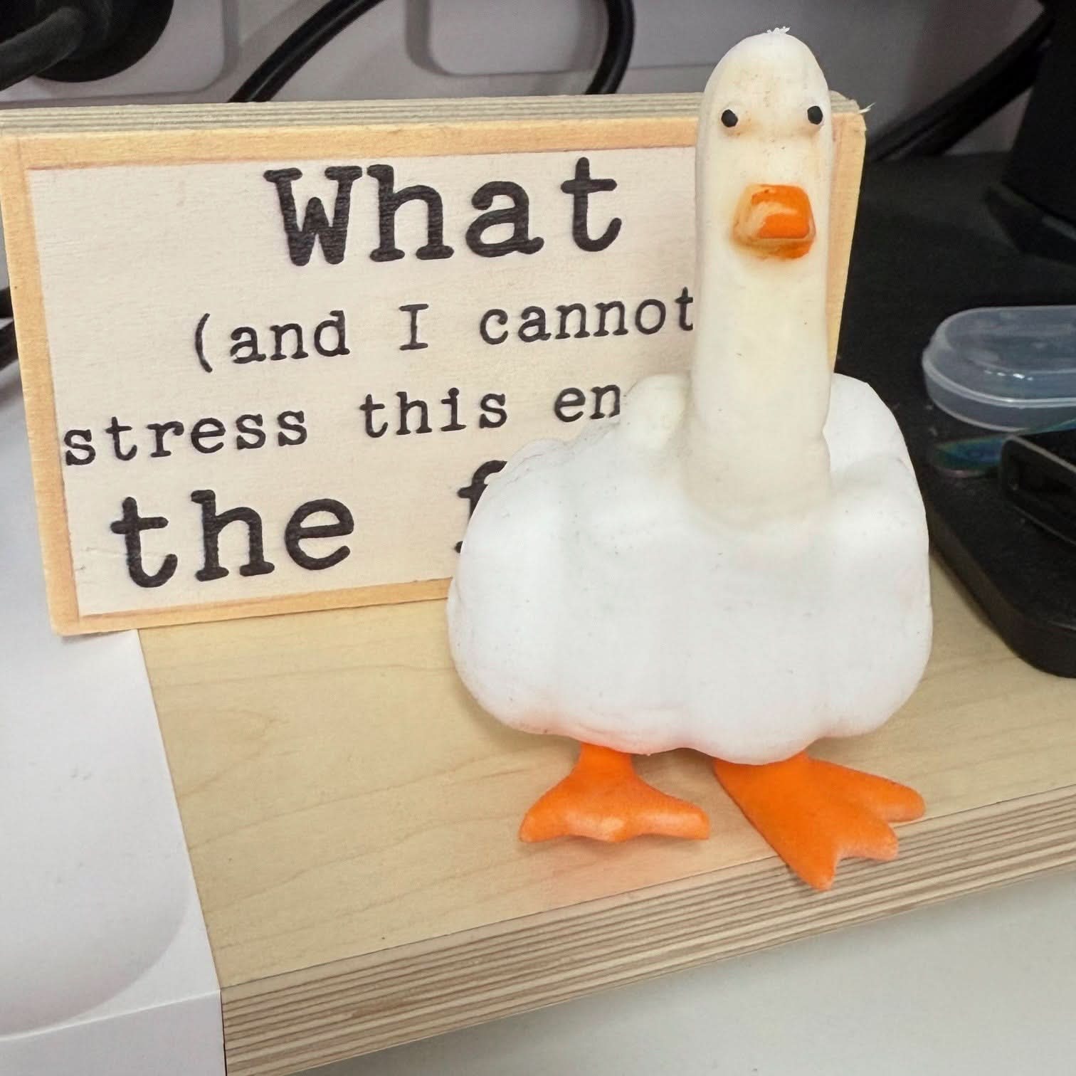 Duck You! Hilarious Squishy - Image 2