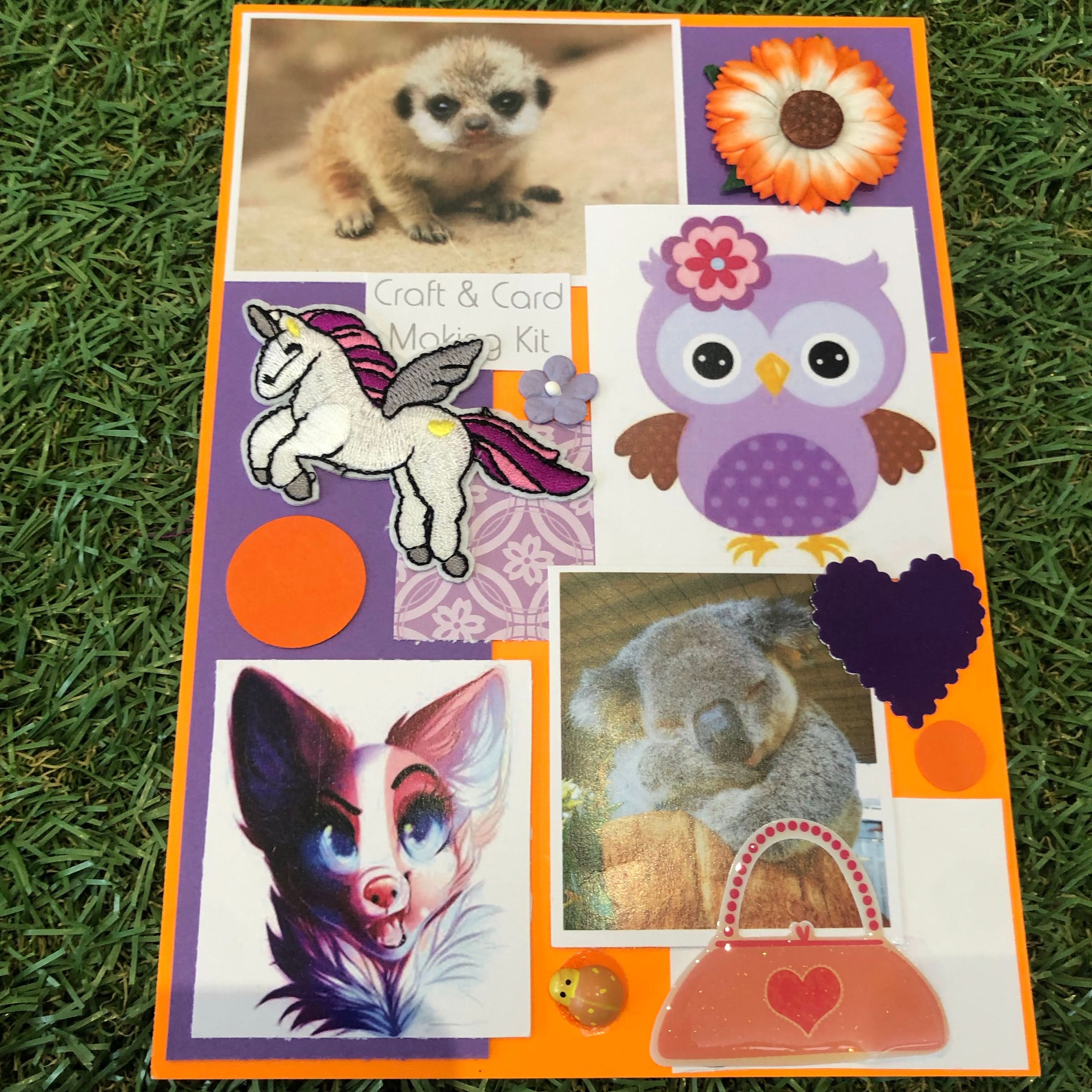 Card Making & Craft Kits by Nana - Image 11