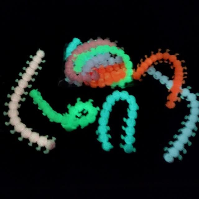 Stretchy Caterpillar 'ARMY' SET - Image 6