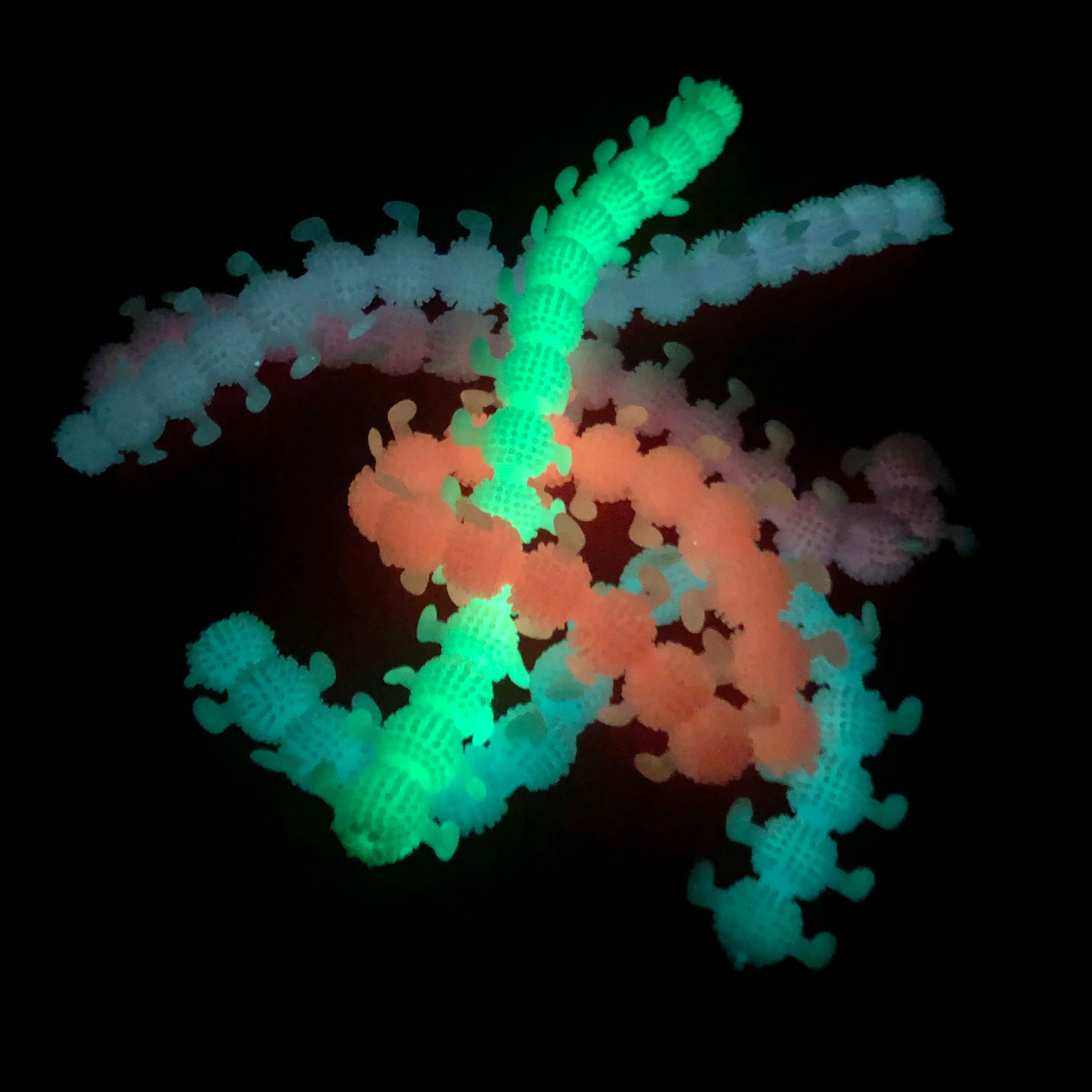 Stretchy Caterpillar 'ARMY' SET - Image 8